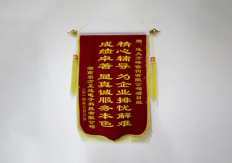 精心輔導，為企業(yè)排憂解難